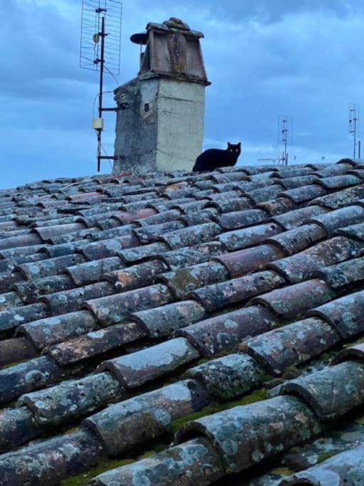 Appartamento Viola 27 Perugia Esterno foto